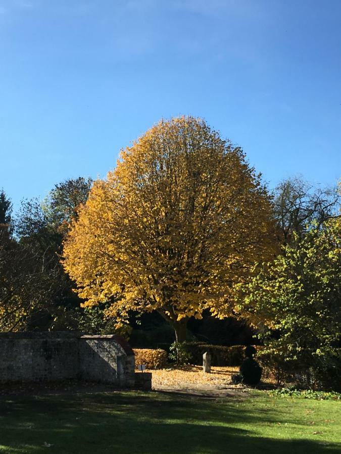 Saint-Martin-de-Boscherville Manoir De L'Aumonerie 빌라 외부 사진
